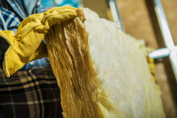 Best Specialized Insulation Services in Worcester, MA